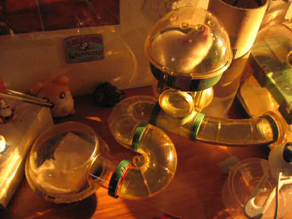 My hamster Lucy checking out her new sleeping quarters...