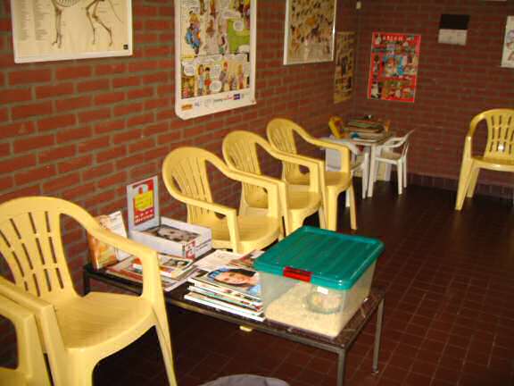 Taking my hamster Lucy to the vet.