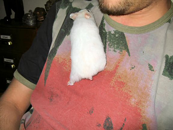 Picture of my hamster Lucy in the foreground and Jonne in the background!