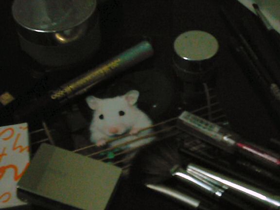 Picture of virtual Lucy in China.