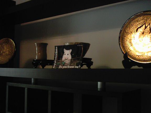 Picture of virtual Lucy in Beijing China.