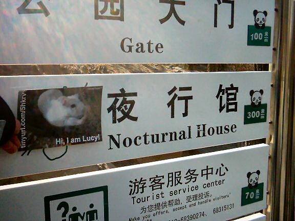 HamsterTracker(tm) promotion in China!