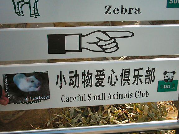 HamsterTracker(tm) promotion in China!