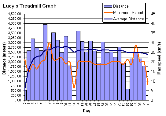 My hamster Lucy statistical graph