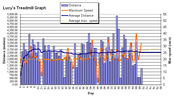 Day 69: Lucy's treadmill graph.