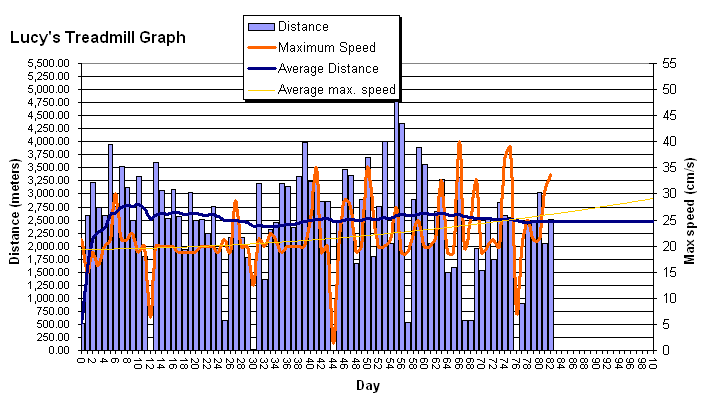 Lucy's treadmill graph on september 6, 2005.