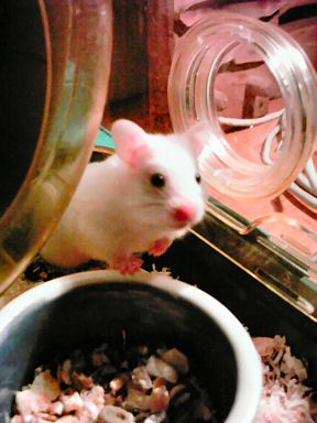 Picture of Lucy curious of what a camera is.