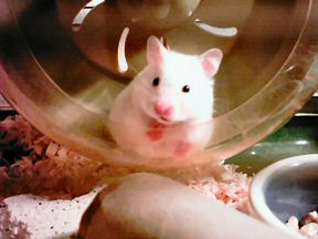 Another picture of Lucy curious of what a camera is.