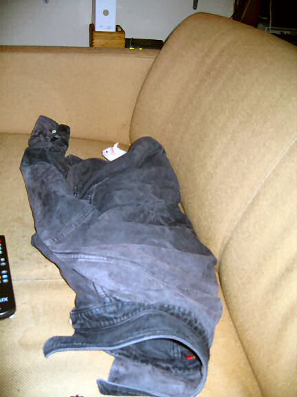 Picture of Lucyon the couch playing.