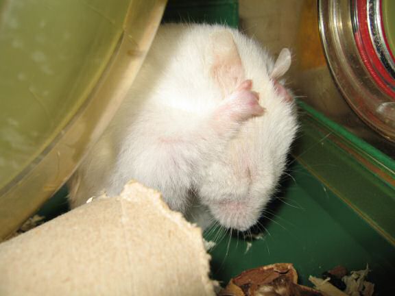 Picture of Lucy's reaction to all these statistics.