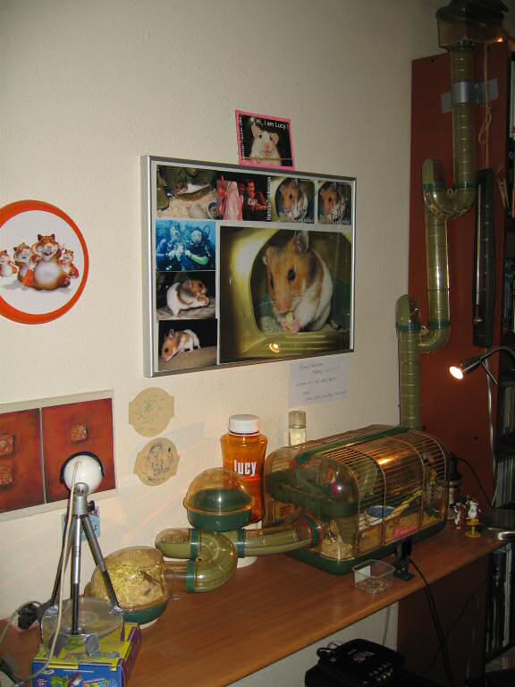 My hamster Lucy's current Livin' quarters.