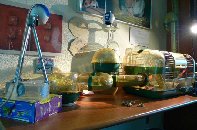 Enjoying Vacation Time and a borrowed Leica camera with my hamster Lucy.