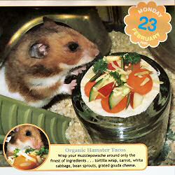 My hamster Lucy is featured on the CuteOverload.com Calendar today !
