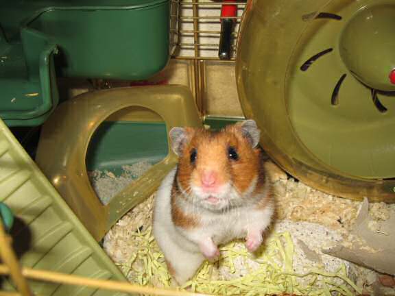 Telling Lucy on the news of the birth of Quincy Jr.