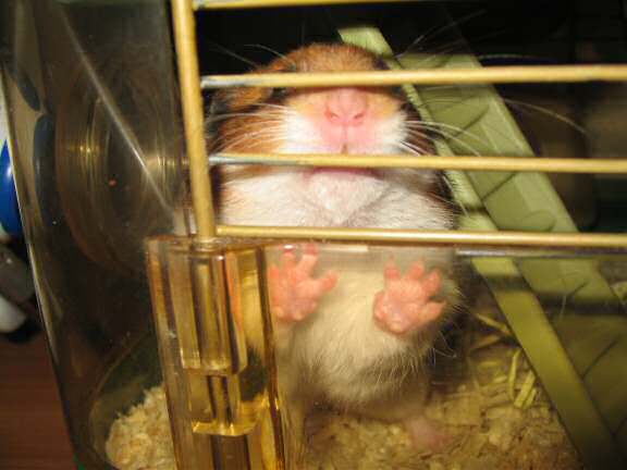 Telling Lucy on the news of the birth of Quincy Jr.