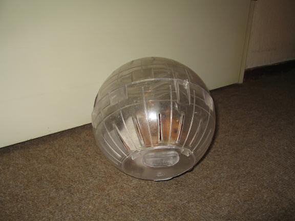 My hamster Lucy (3.0) in her Explorer Ball.