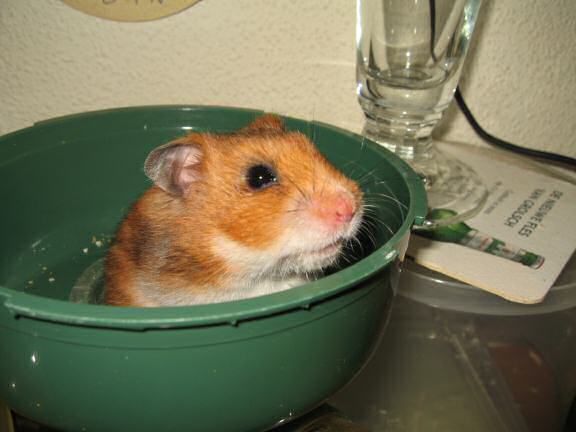 Training to wake up Lucy earlier AGAIN.