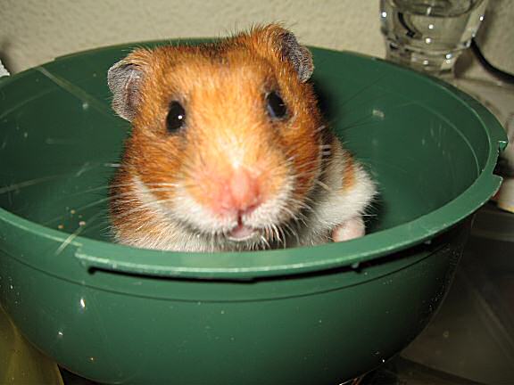 Training to wake up Lucy earlier AGAIN.