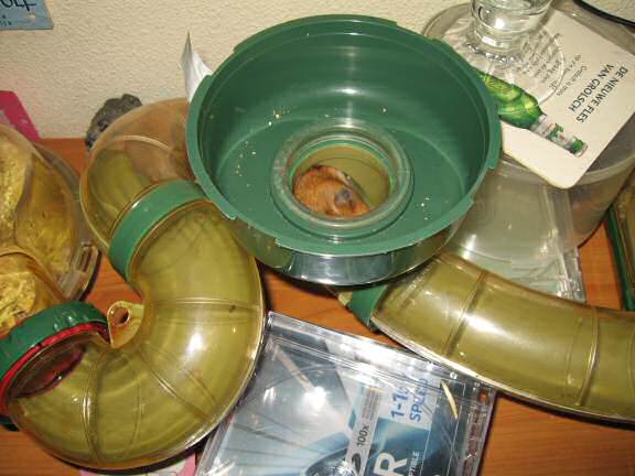 Training to wake up Lucy earlier AGAIN.