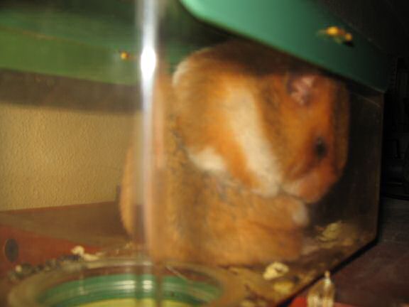 Lucy in her (newly added) meditation room.