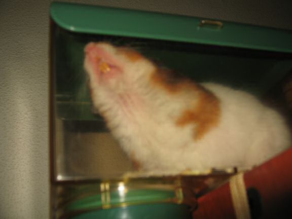 Lucy in her (newly added) meditation room.