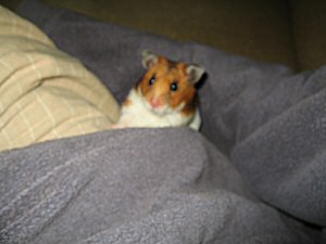 Lucy's on the spot interview.