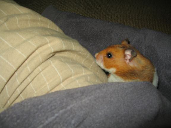 Lucy's on the spot interview.