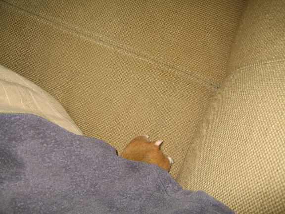 Lucy's on the spot interview.