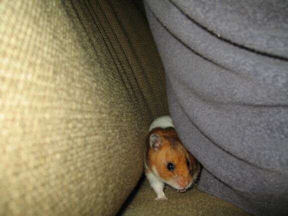 Lucy's on the spot interview.