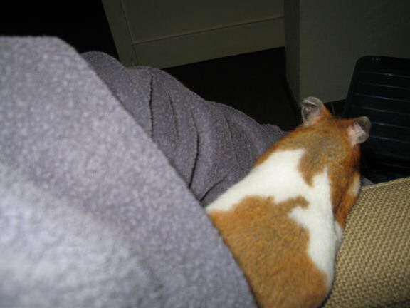 Lucy's on the spot interview.