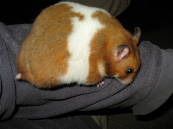 Lucy's on the spot interview.