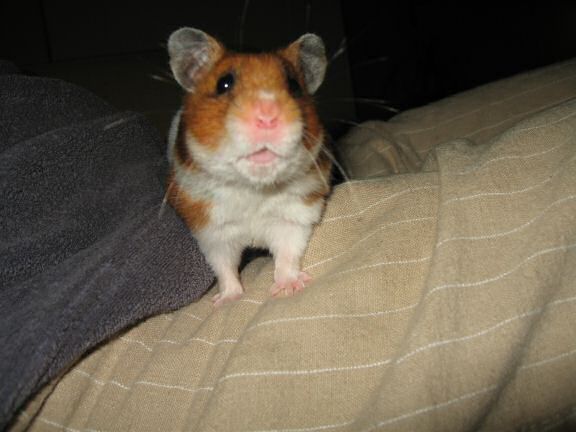 Lucy's on the spot interview.