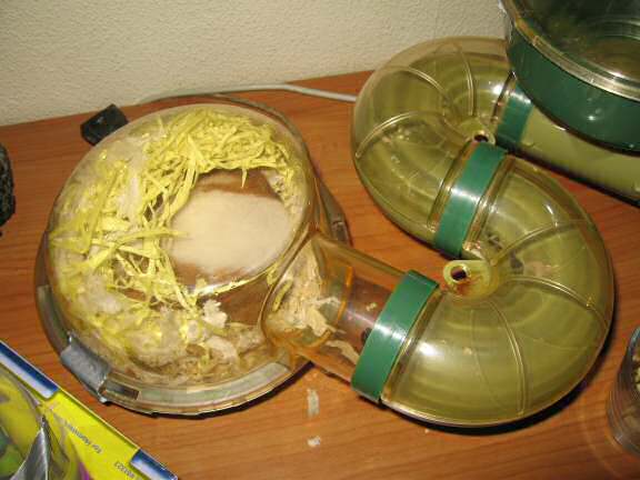 Waiting for her highness Lucy (3.0)