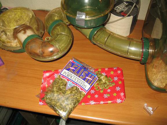 X-mas gift for my hamster Lucy by SLD.