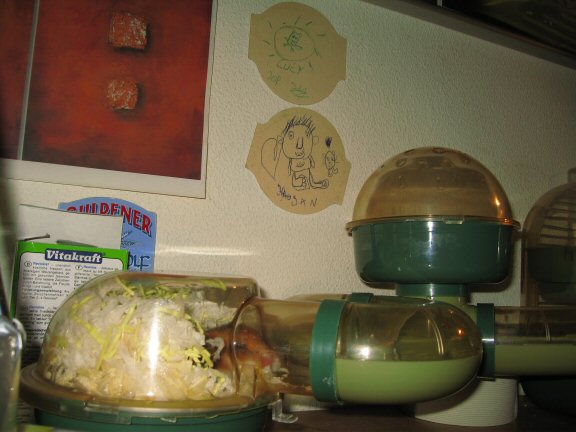 My hamster Lucy appreciating art.