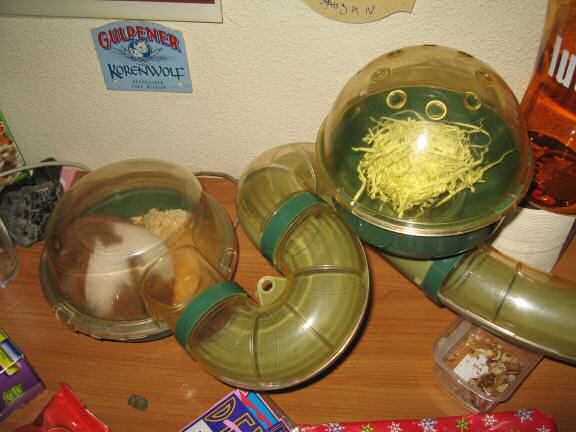 My hamster Lucy's bedroom aftermath. 