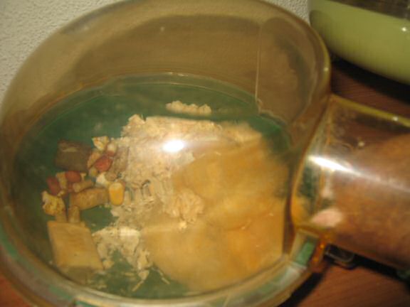 My hamster Lucy's bedroom aftermath. 