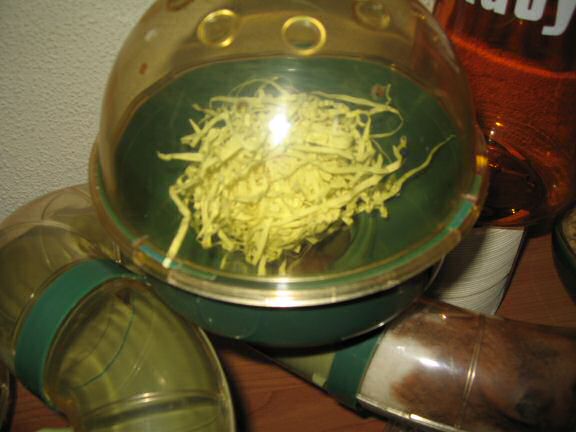 My hamster Lucy's bedroom aftermath. 