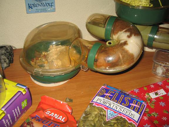 My hamster Lucy's bedroom aftermath. 