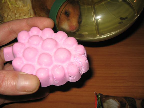 Lucy and her 'Adori Gnawing Stone (fruit flavour)'.