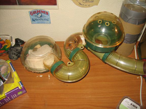 My hamster Lucy checking out her cleaned bedroom, all pouches stuffed to the max.