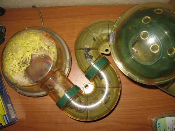 My hamster Lucy helpin' out !