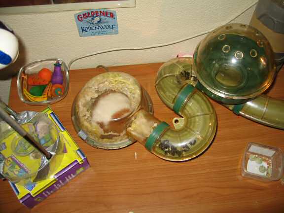 My hamster Lucy's bedroom needs some cleaning.