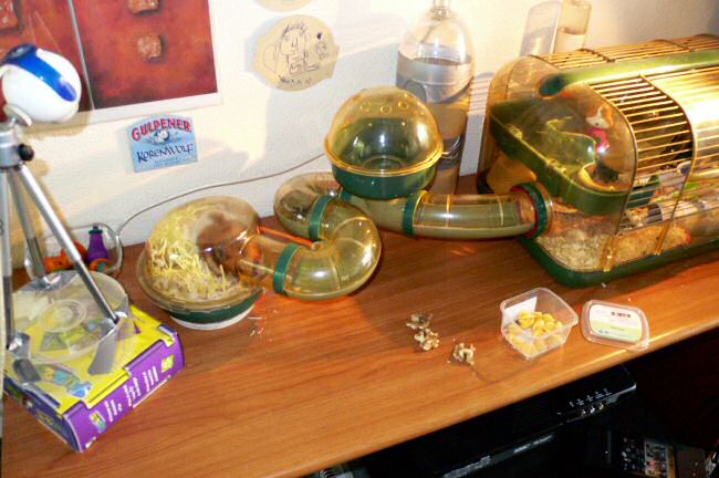 Enjoying Vacation Time and a borrowed Leica camera with my hamster Lucy.