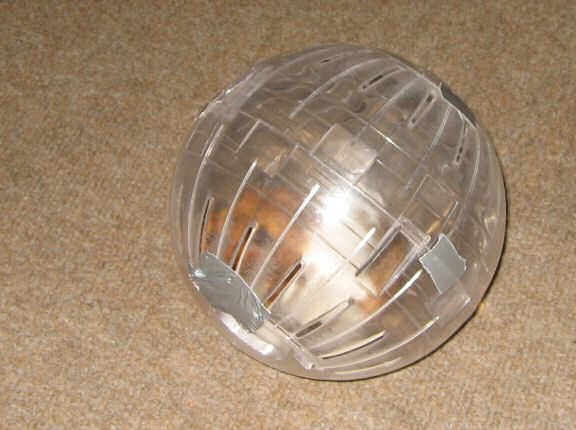 Quality time with my hamster Lucy.