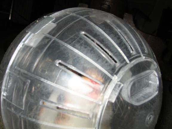 Quality time with my hamster Lucy.