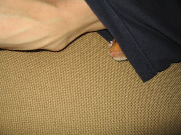 My hamster Lucy's has nothin' up her sleeve'.