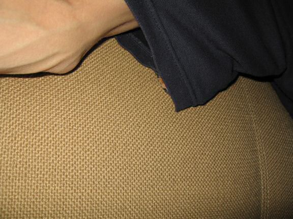 My hamster Lucy's has nothin' up her sleeve'.