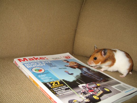 My hamster Lucy's has nothin' up her sleeve'.