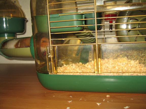 My hamster Lucy has been keepin' busy .